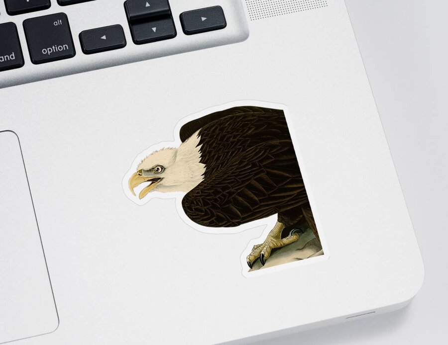 Bald Eagle Sticker featuring the digital art Bald Eagle by Madame Memento