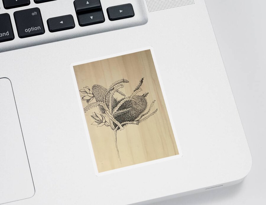 Ink Sticker featuring the drawing Banksia by Franci Hepburn