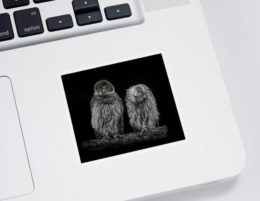 Portrait Sticker featuring the drawing Barking Owls Black And White by Joan Stratton