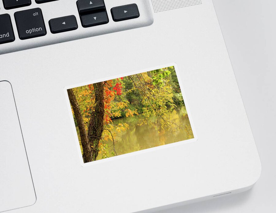 Bass Pond Sticker featuring the photograph Bass Pond Biltmore Estate by Rob Hemphill