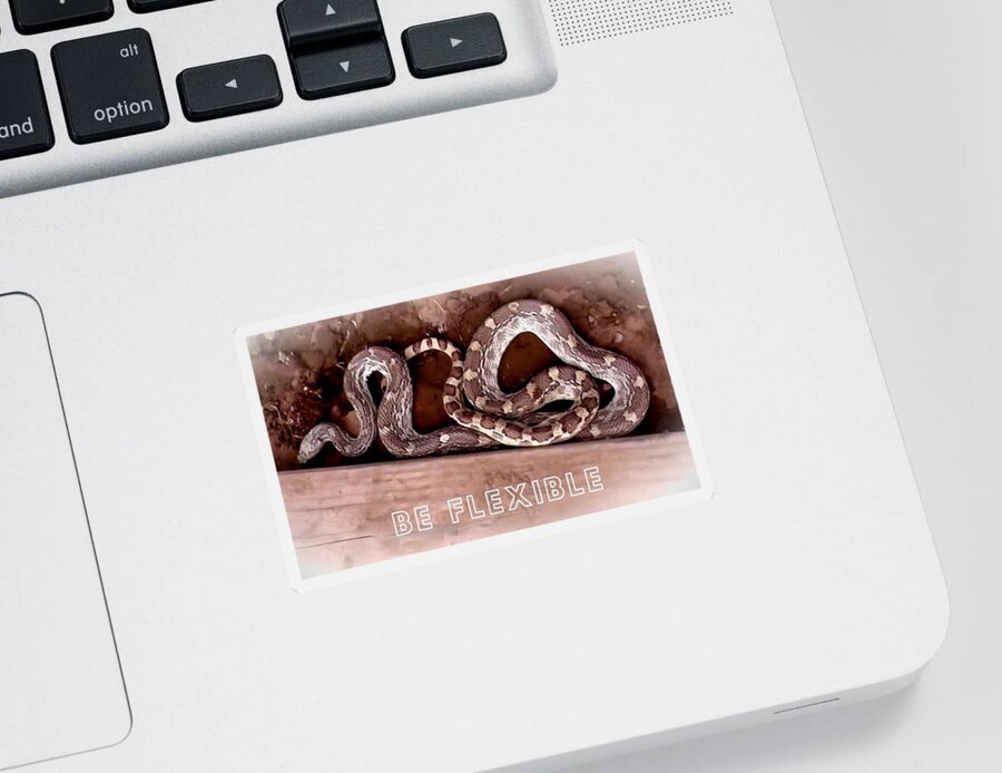 Be Ye Wise As Serpents Sticker featuring the photograph Be Flexible by Judy Kennedy