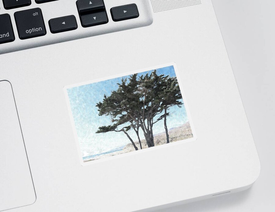 Beach Sticker featuring the photograph Beach Pine by Katherine Erickson