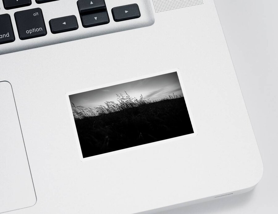 Sand Dunes Sticker featuring the photograph Beachgrass Sunset Black and White by Pelo Blanco Photo