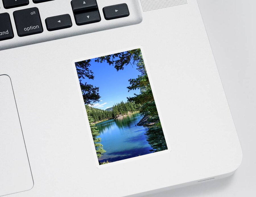 Colorado Sticker featuring the photograph Bear Lake Through the Pines - Colorado by Debra Martz