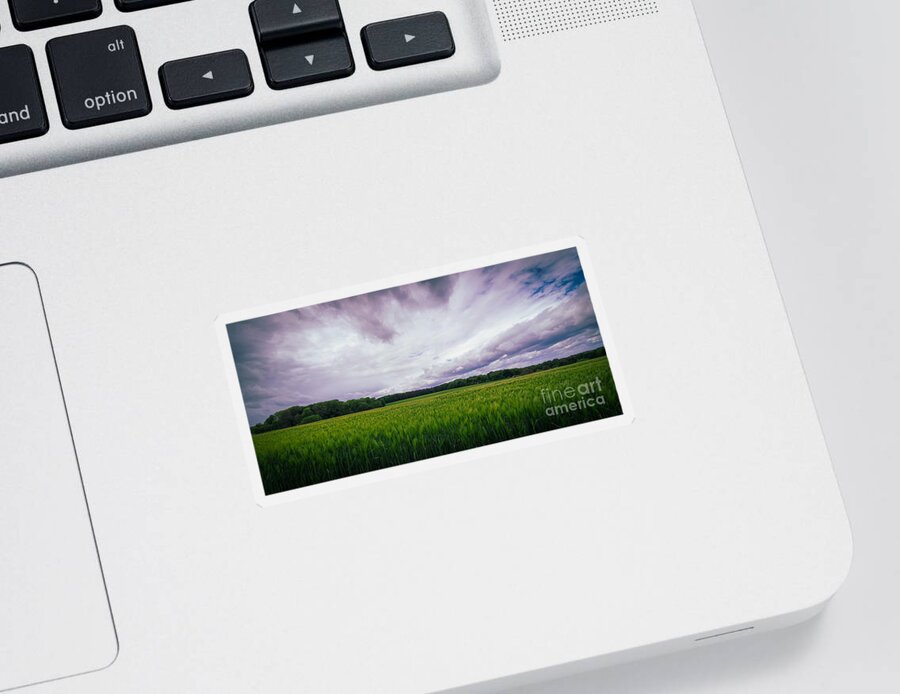 Barley Sticker featuring the photograph Beautiful landscape with green barley field and cloudy sky in the surroundings of Bonn by Mendelex Photography