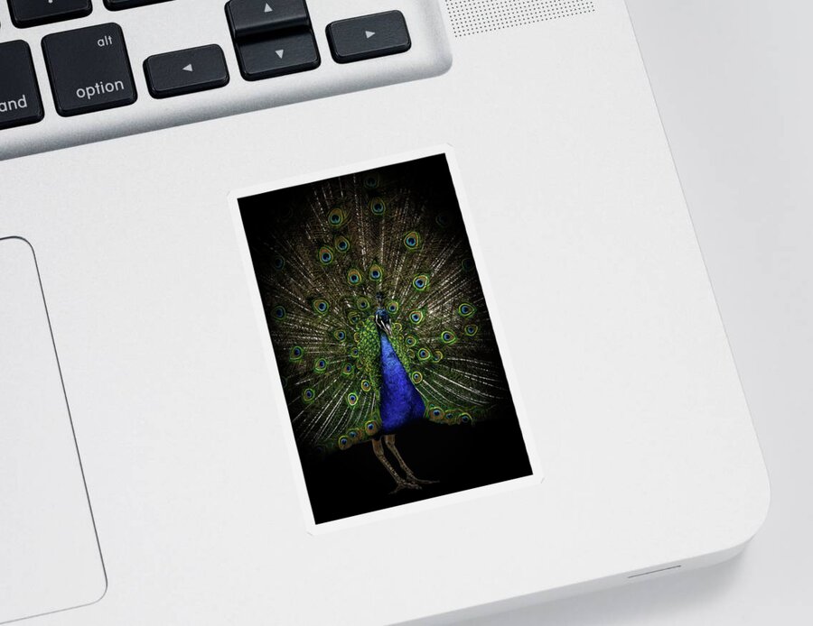 Peacock Sticker featuring the digital art Beautiful peacock by Marjolein Van Middelkoop