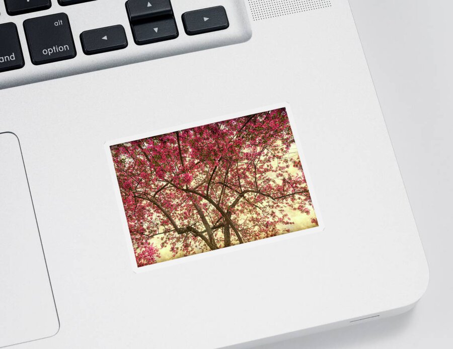 Tranquil Sticker featuring the photograph Beautiful Pink Crab Apple Blossoms by James BO Insogna