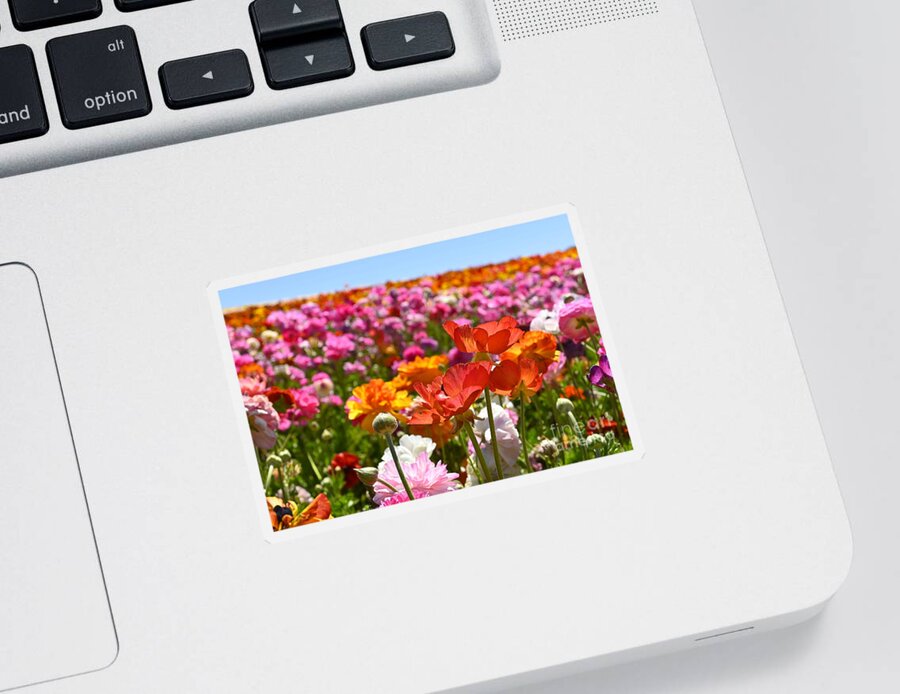 Flowers Sticker featuring the photograph Beautiful Spring Flowers by Rich Cruse