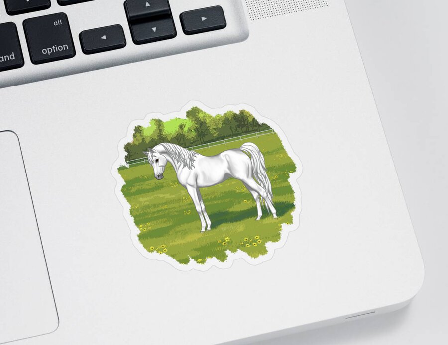 Horses Sticker featuring the painting Beautiful White Gray Arabian Horse In Summer Pasture by Crista Forest