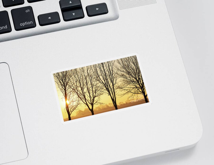 Sunset Sticker featuring the photograph Beautiful winter sunset though bare trees in Norfolk by Simon Bratt
