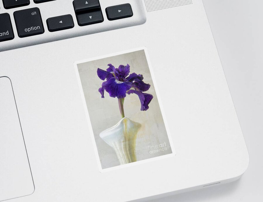 Dutch Sticker featuring the photograph Beauty by Amy Dundon