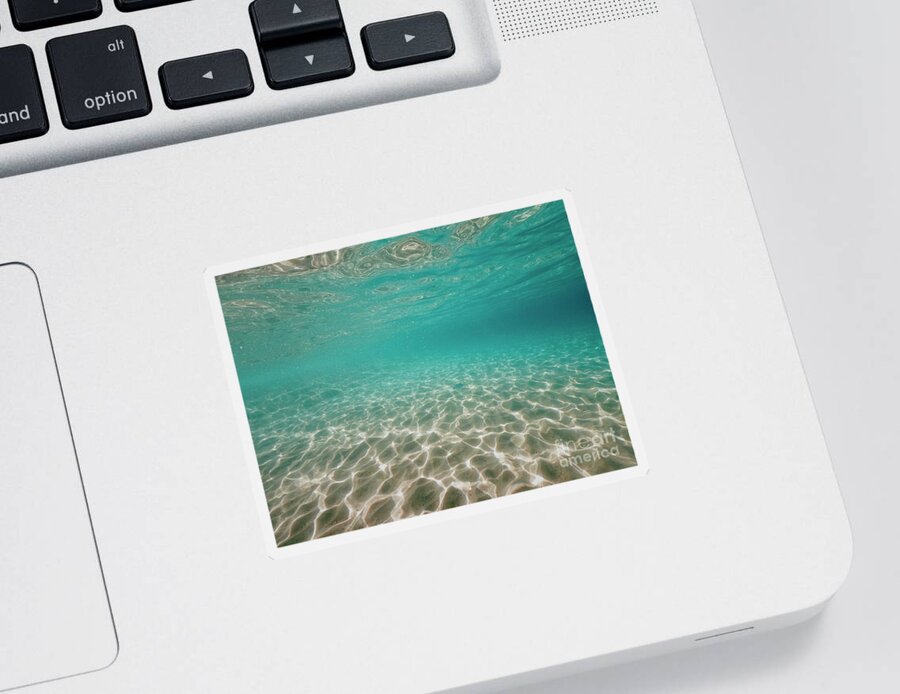 Underwater Shots Sticker featuring the photograph Beauty Below The Surface by Laura Forde