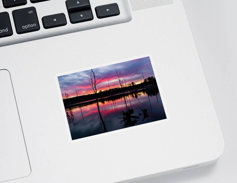 Beaver Marsh Sunset Sticker featuring the photograph Beaver Marsh Sunset by Dale Kincaid