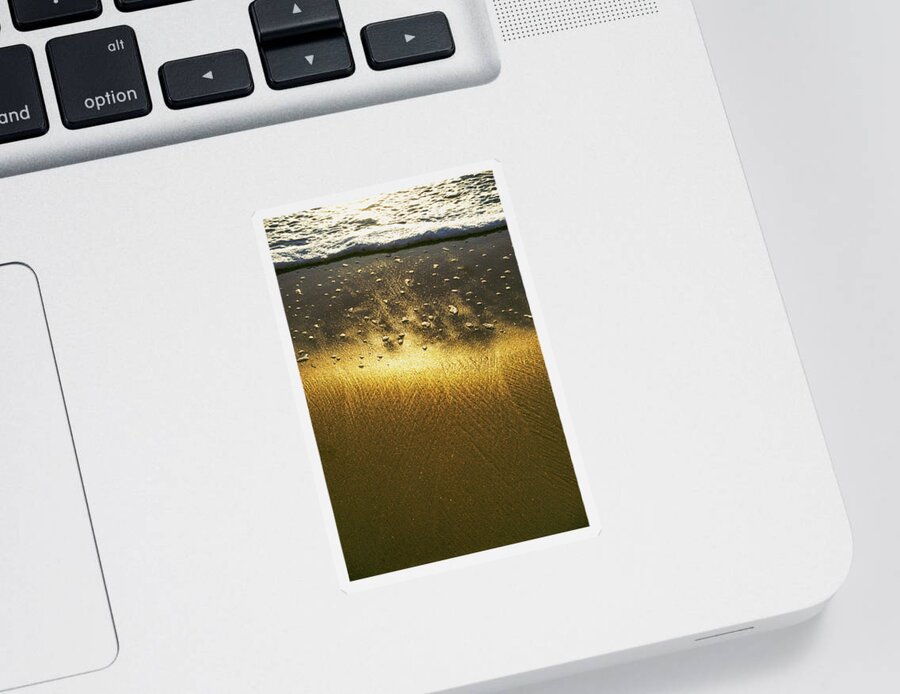 Nature Sticker featuring the photograph Bend over by Barthelemy De Mazenod