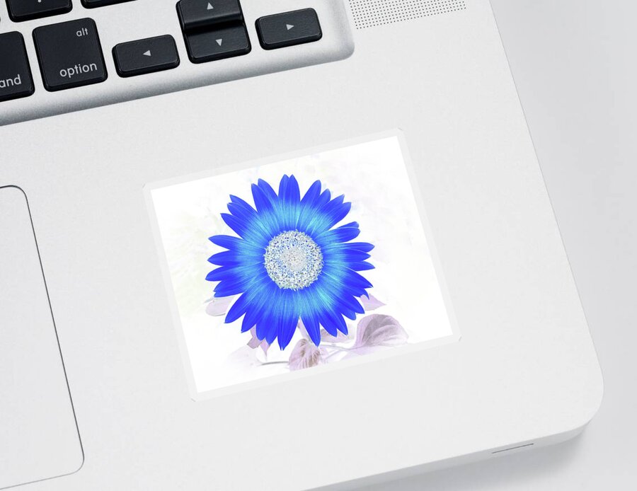 Flower Sticker featuring the photograph Blue Flower Power by Missy Joy