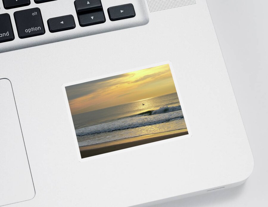 Jersey Shore Sticker featuring the photograph Bird in Flight Over Ocean at Sunrise by Matthew DeGrushe