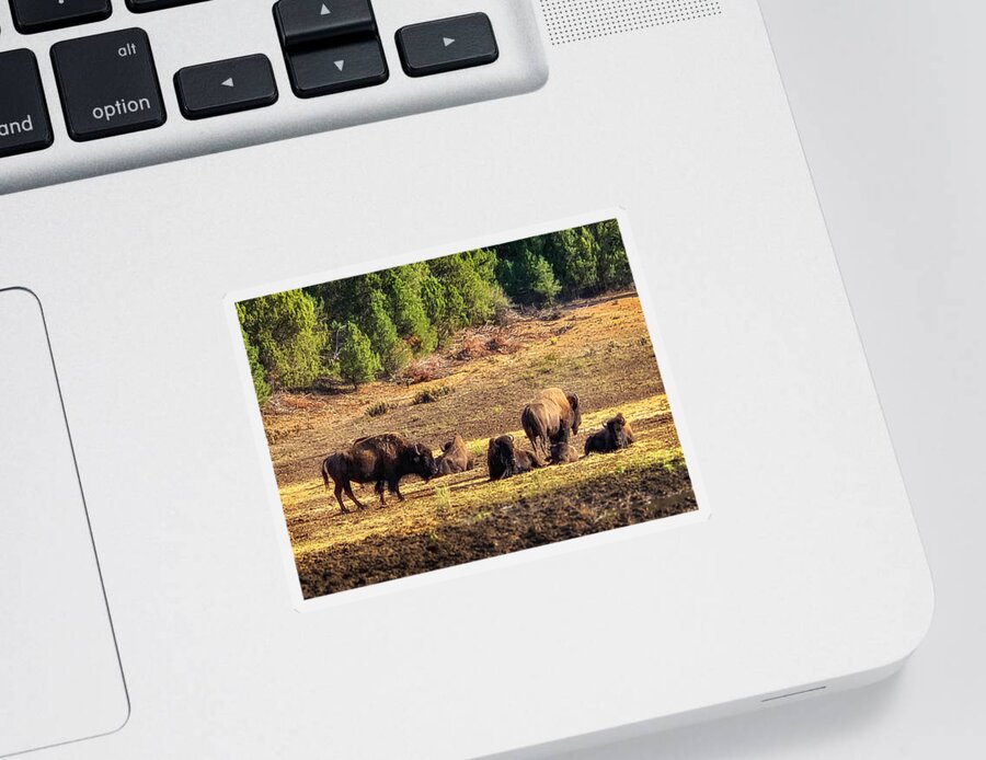 Photograph Sticker featuring the photograph Bison Family at Sunset Near Zion by John A Rodriguez