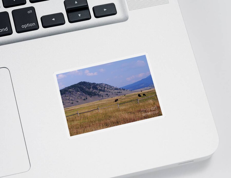 Bison Sticker featuring the photograph Bisons of Yellowstone by Randy Pollard