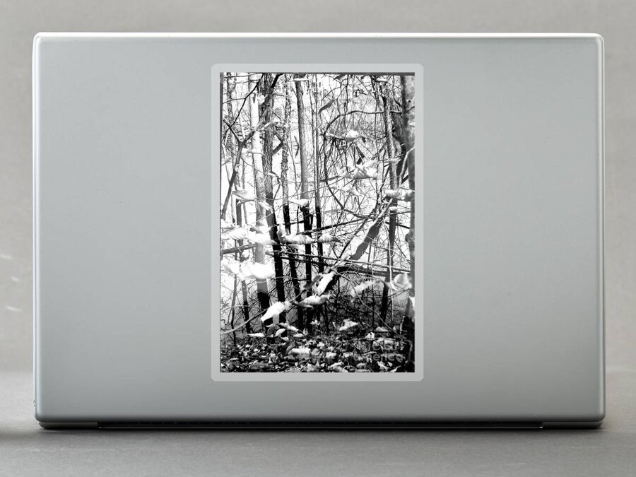 Black Sticker featuring the photograph Black and White composition by Anita Adams
