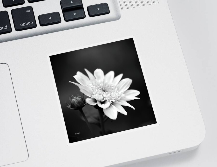 Black And White Flower Sticker featuring the photograph Black and White Flower by Christina Rollo