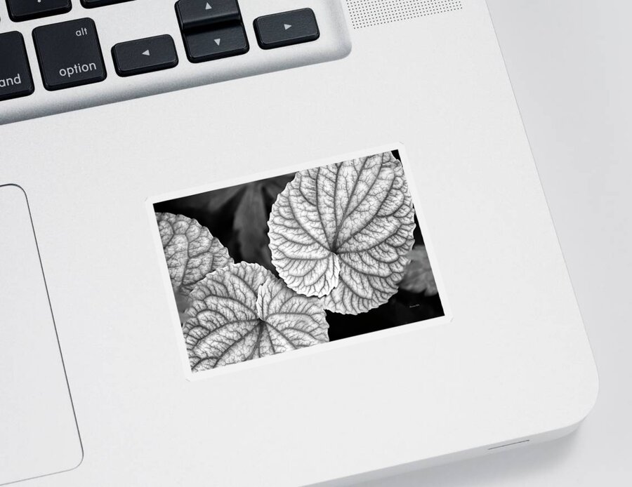 Leaves Sticker featuring the photograph Black And White Leaves Abstract by Christina Rollo
