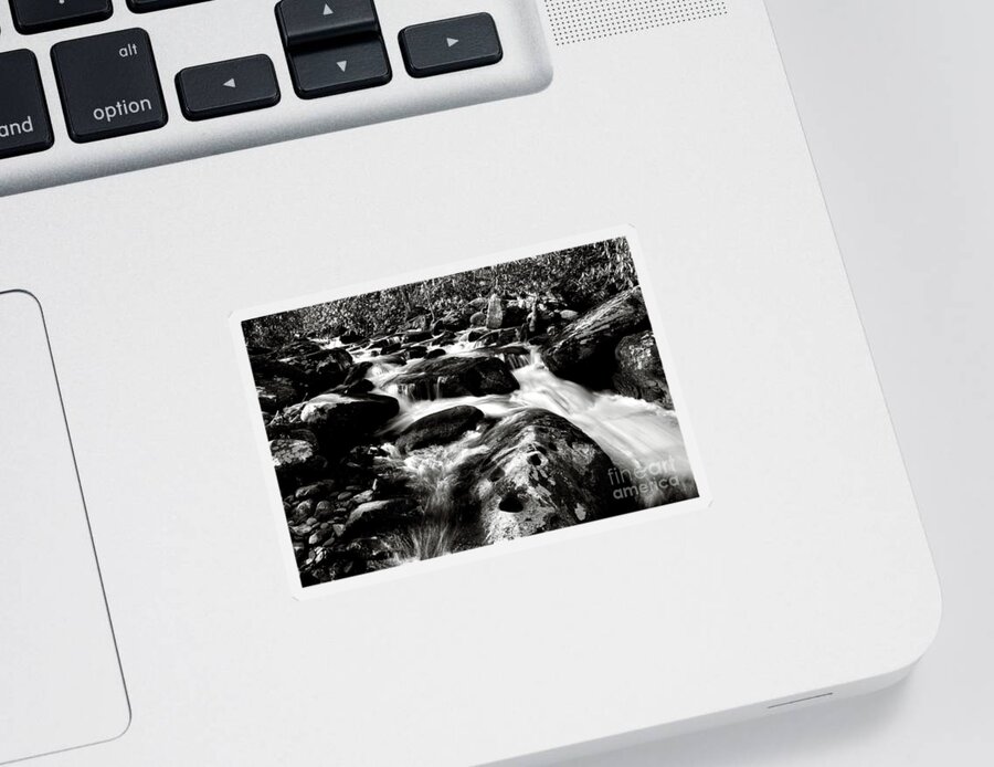 Nature Sticker featuring the photograph Black And White River 2 by Phil Perkins