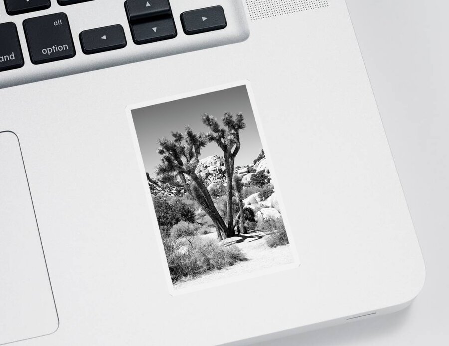 Arizona Sticker featuring the photograph Black Arizona Series - Joshua Tree by Philippe HUGONNARD