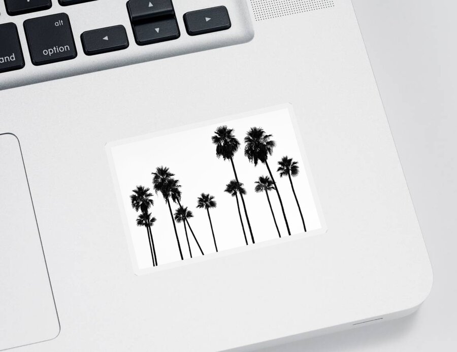Palm Trees Sticker featuring the photograph Black California Series - Palm Trees L.A by Philippe HUGONNARD