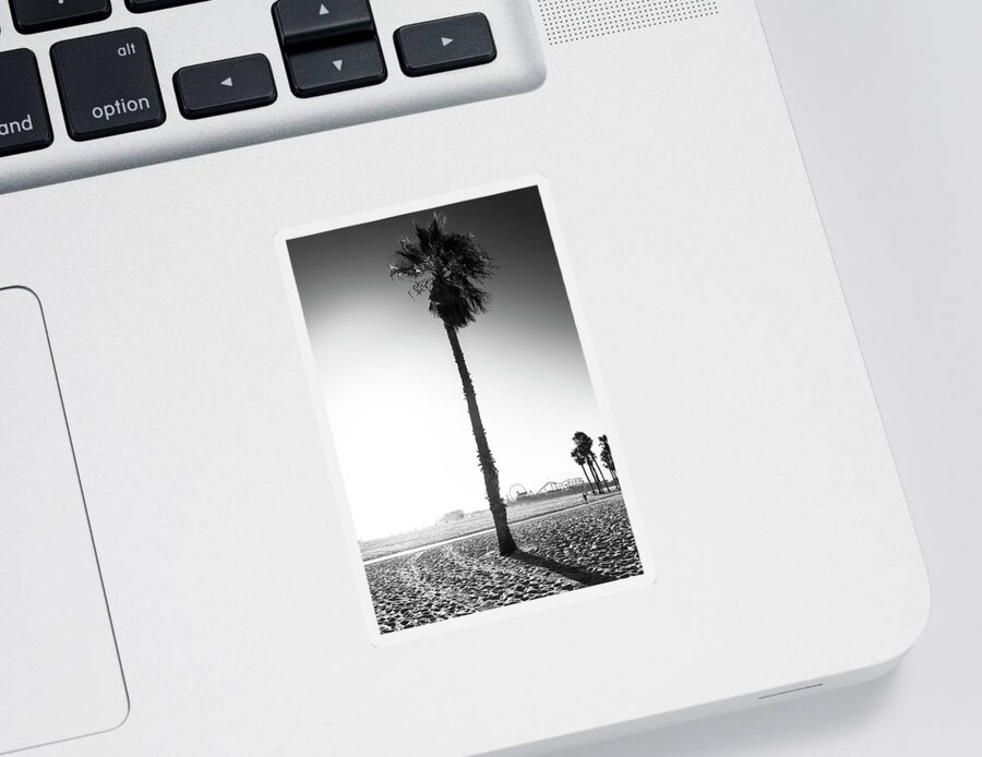 Palm Trees Sticker featuring the photograph Black California Series - Santa Monica Palm Tree by Philippe HUGONNARD