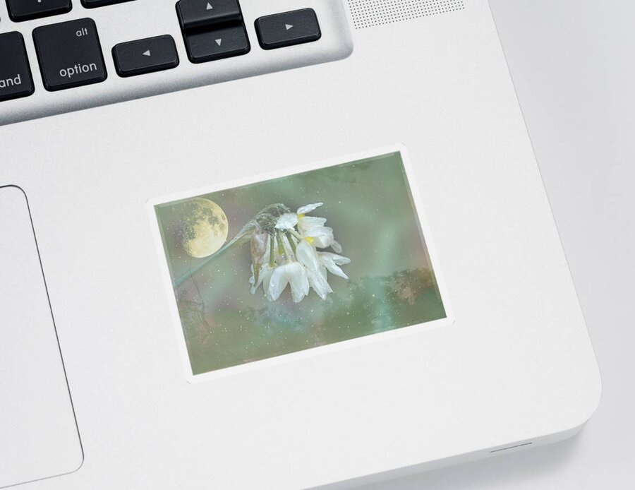 Daffodils Sticker featuring the photograph Weeping Narcissus by Elaine Teague
