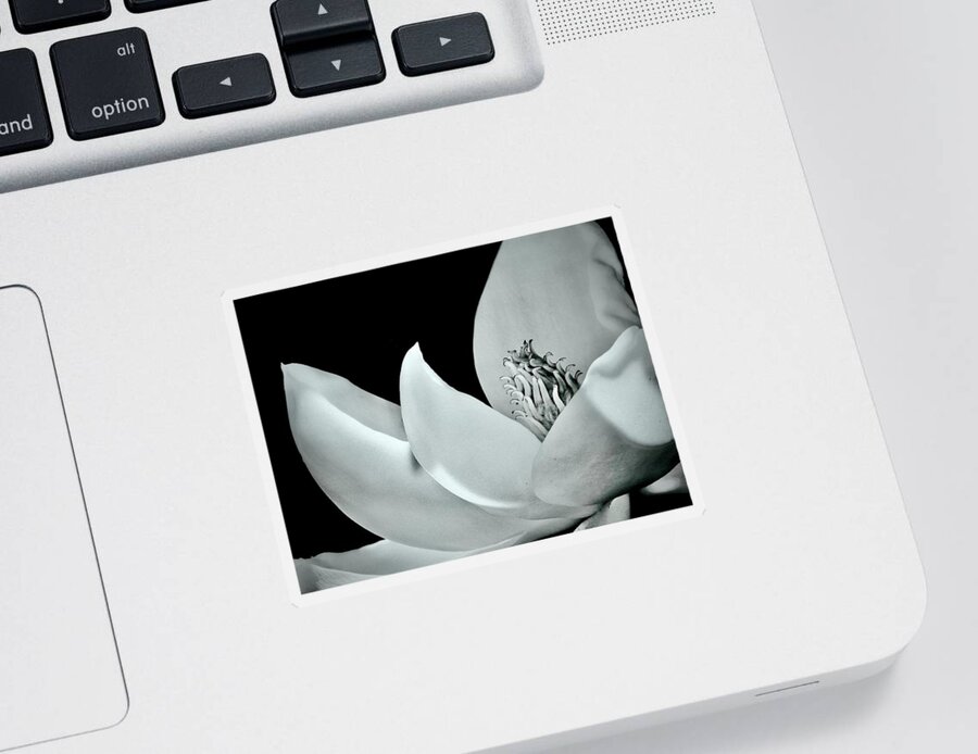 Bloom Sticker featuring the photograph Blooming Elegance by Sarah Lilja