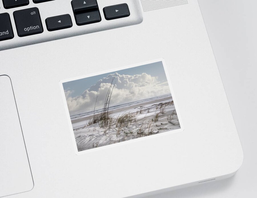 Clouds Sticker featuring the photograph Blowing with the Breeze II by Debra and Dave Vanderlaan