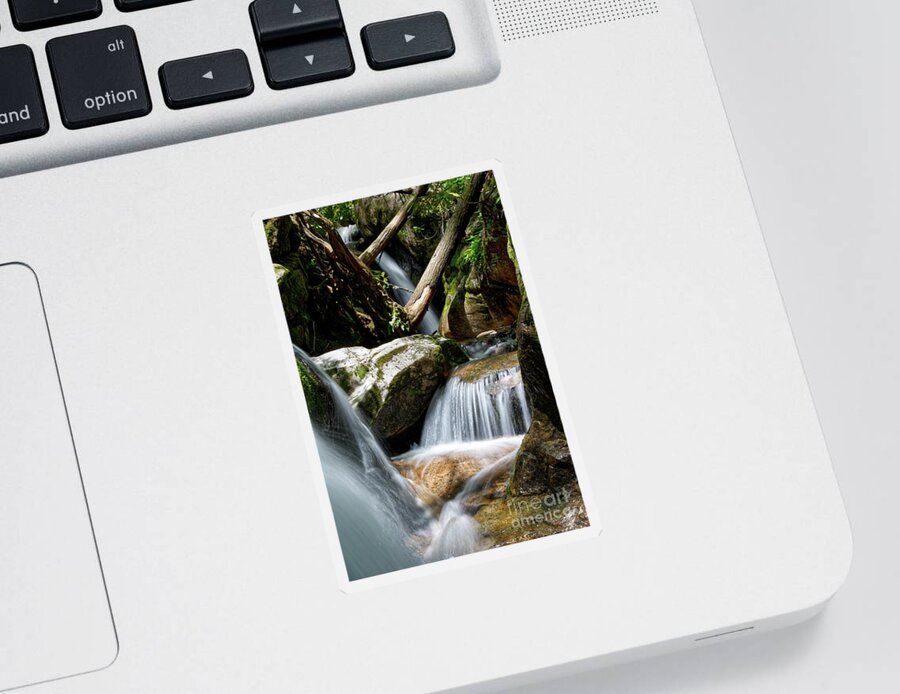 Nature Sticker featuring the photograph Blue Hole Falls 11 by Phil Perkins