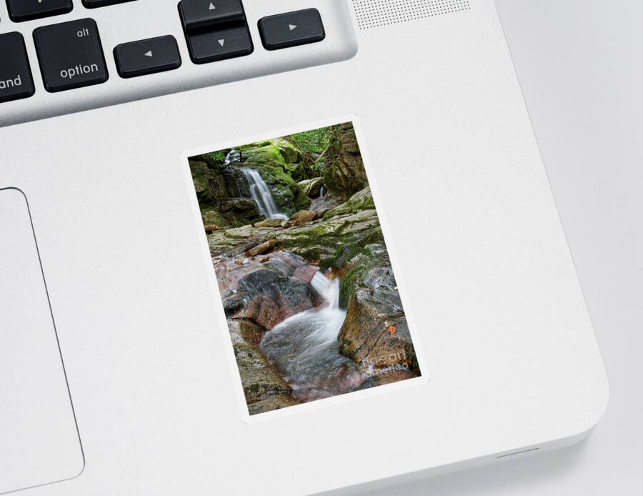 Nature Sticker featuring the photograph Blue Hole Falls 15 by Phil Perkins