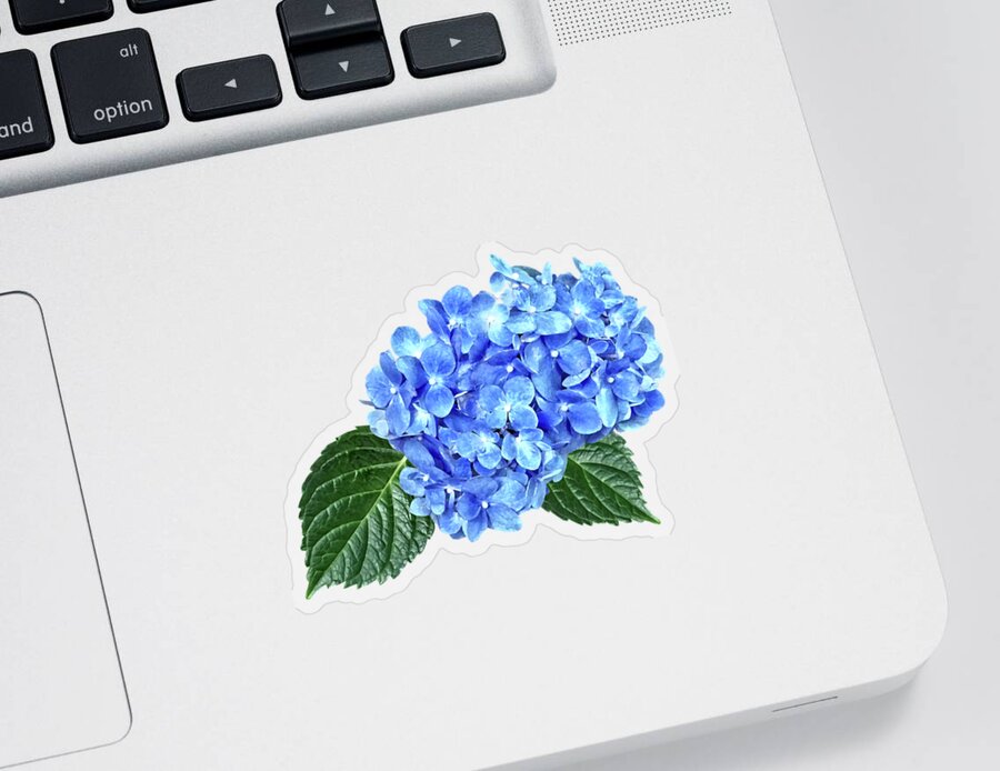 Hydrangea Sticker featuring the photograph Blue Hydrangea by Susan Savad