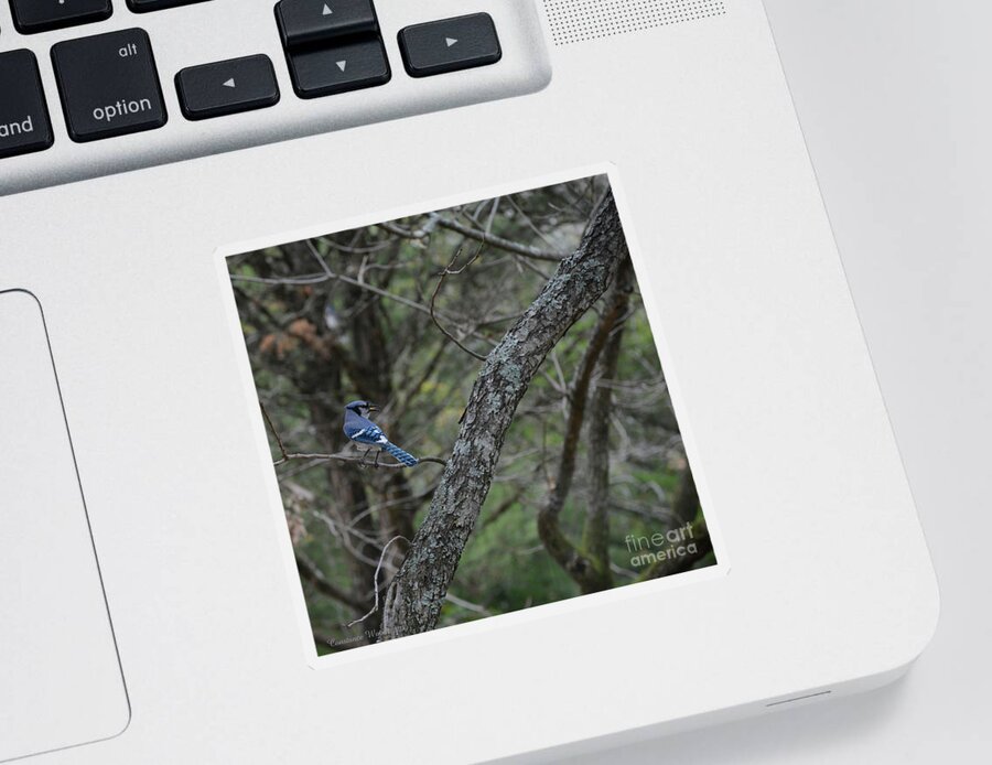 Blue Sticker featuring the digital art Blue Jay In The Forest by Constance Woods