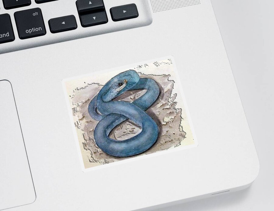 Blue Racer Snake Sticker featuring the painting Blue Racer Snake by Kelly Mills