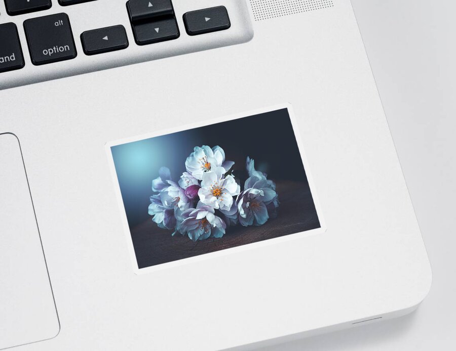 Flowers Sticker featuring the photograph Blue Softness by Philippe Sainte-Laudy