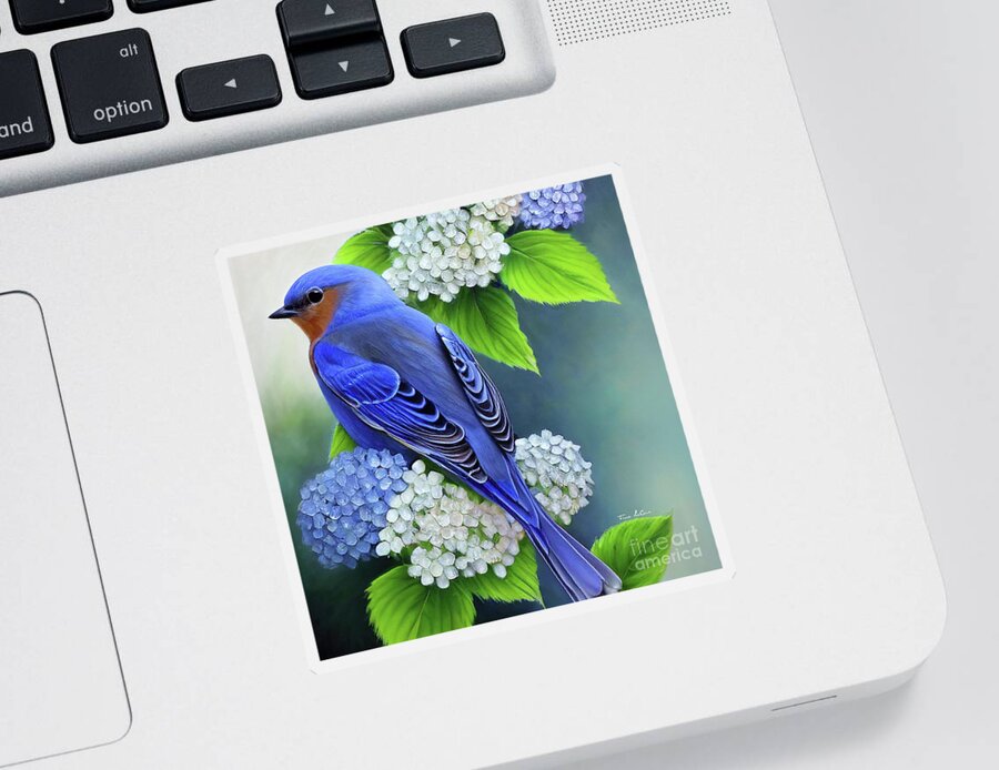 Eastern Bluebird Sticker featuring the painting Bluebird In The Hydrangeas by Tina LeCour
