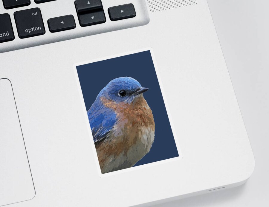 Bluebird Sticker featuring the mixed media Bluebird On Blue by Judy Cuddehe
