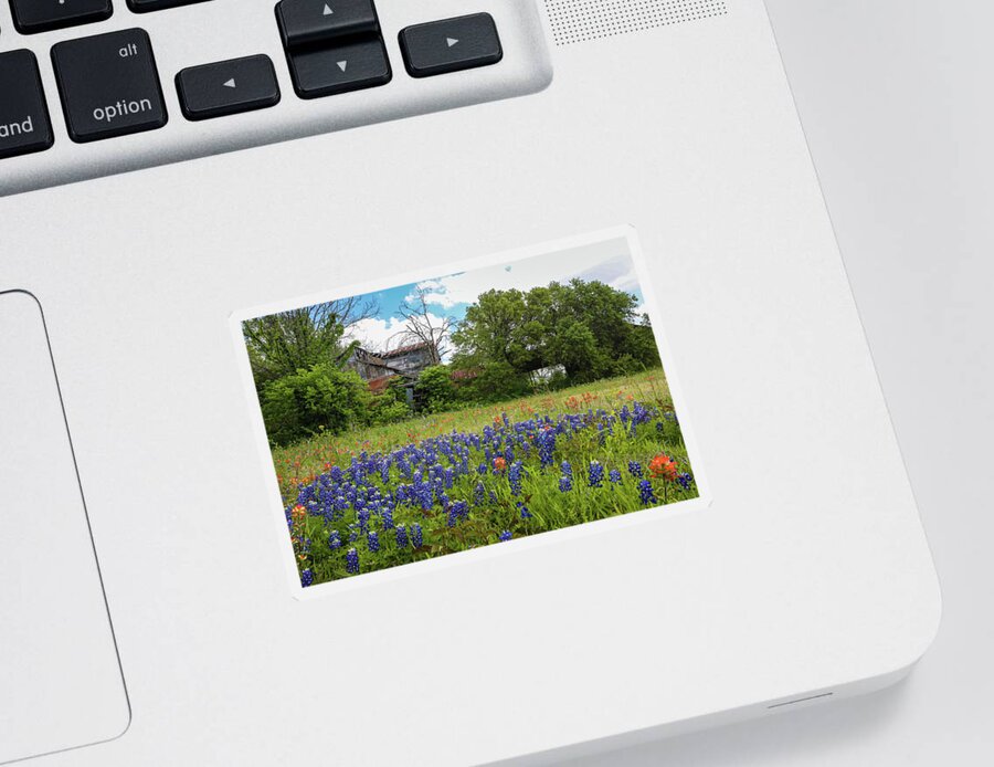Flower Sticker featuring the photograph Bluebonnet Farm by Steve Templeton