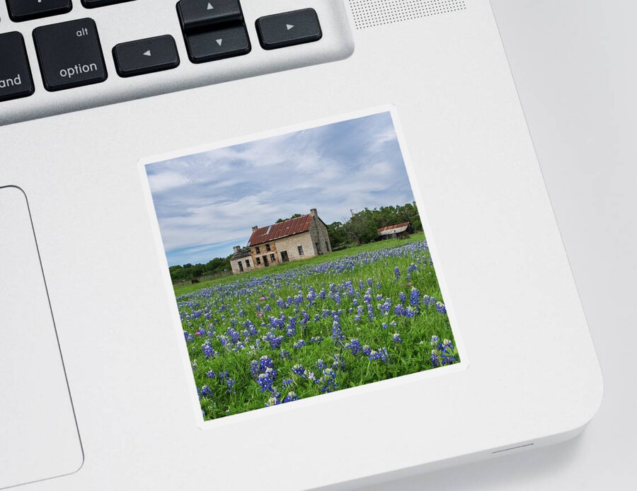 Bluebonnets Sticker featuring the photograph Bluebonnet House Marble Falls Texas by Robert Bellomy