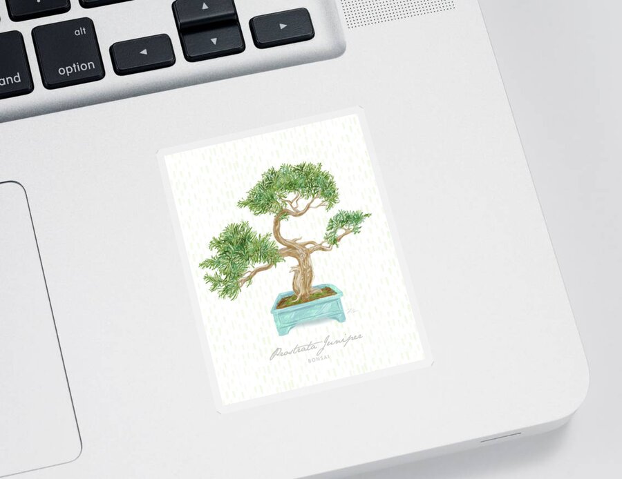 Bonsai Sticker featuring the mixed media Bonsai Trees - Prostrata Juniper by Shari Warren