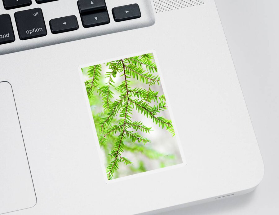 Botanical Sticker featuring the photograph Botanical Abstract by Christina Rollo