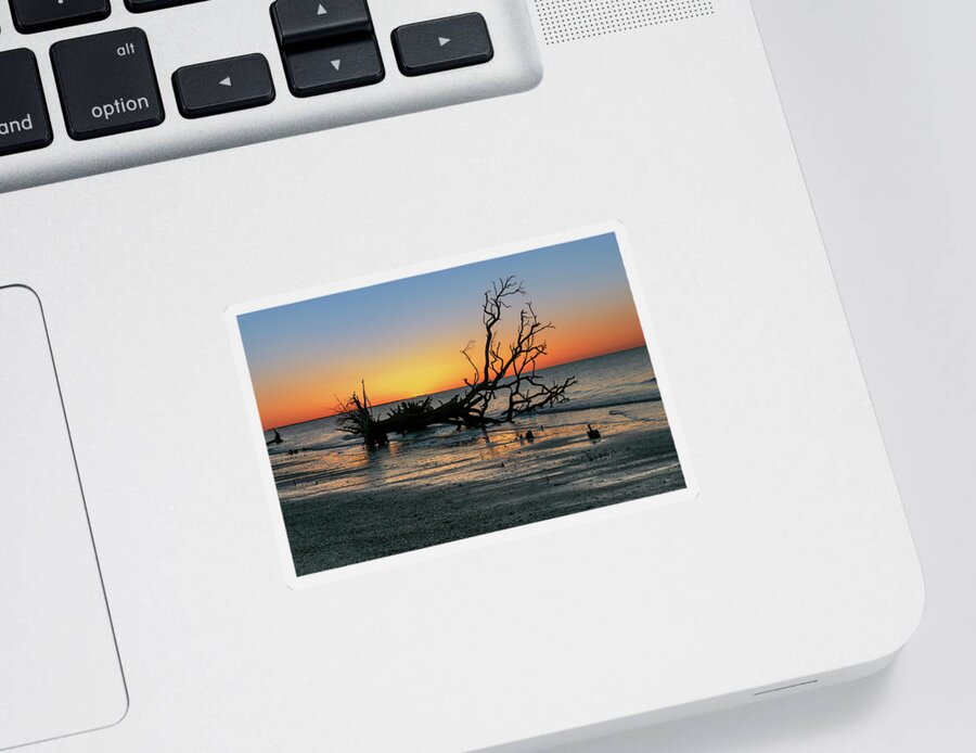 Sunrise Sticker featuring the photograph Botany Bay Sunrise-5 by John Kirkland