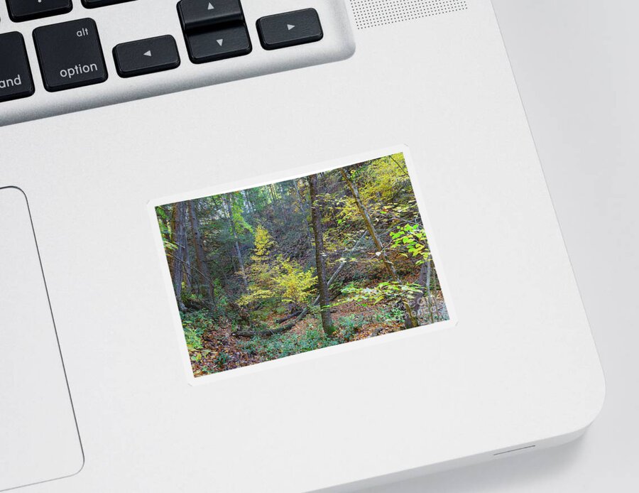 Nature Sticker featuring the photograph Botsford Nature Preserve 31 by William Norton