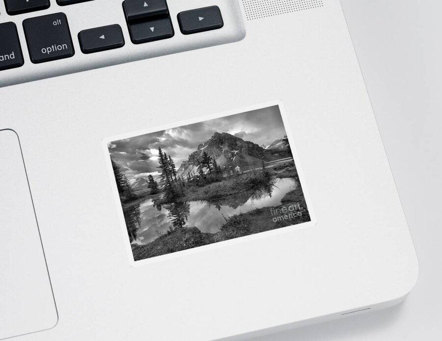 Bow Sticker featuring the photograph Bow Lake Wetlands Reflections Black And White by Adam Jewell