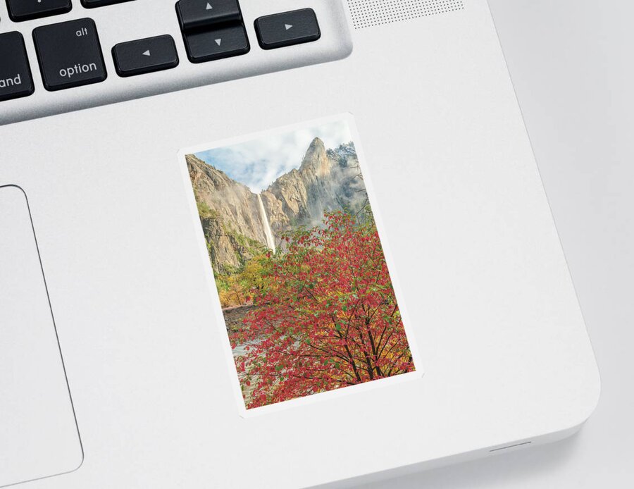 Bridalveil Sticker featuring the photograph Bridalveil Fall and Red Leaf by Bill Roberts