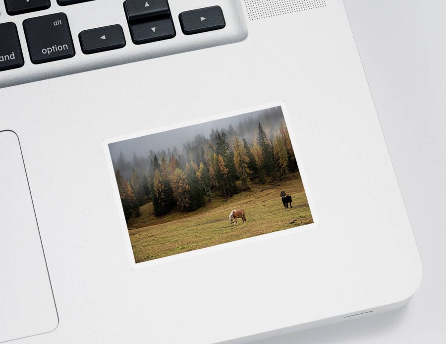 Idyllic Landscape Sticker featuring the photograph Brown and black horses in the field. South Tyrol Italy by Michalakis Ppalis