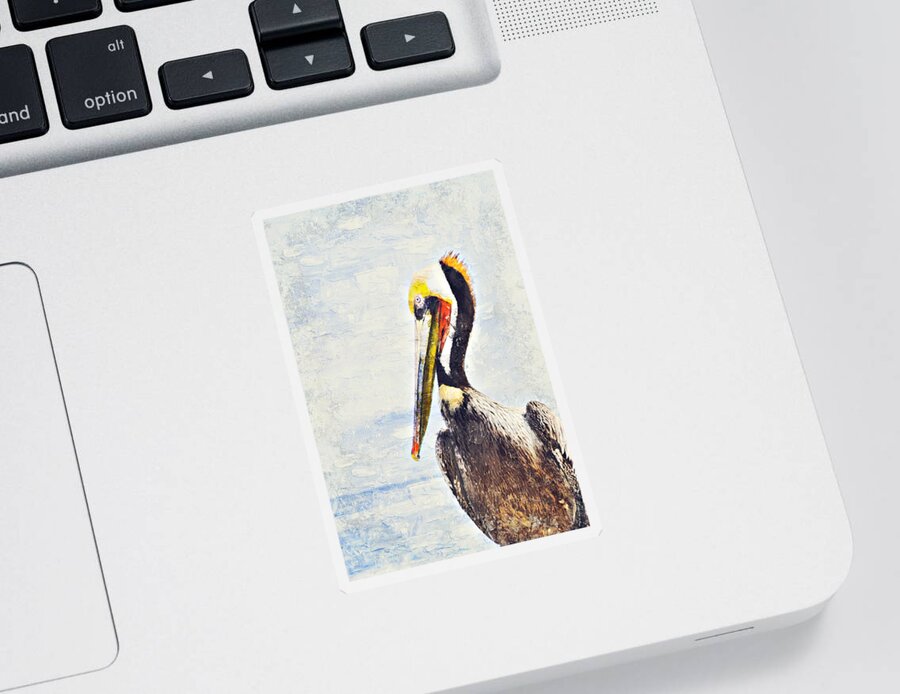 Pelican Sticker featuring the digital art Brown Pelican by Bonny Puckett